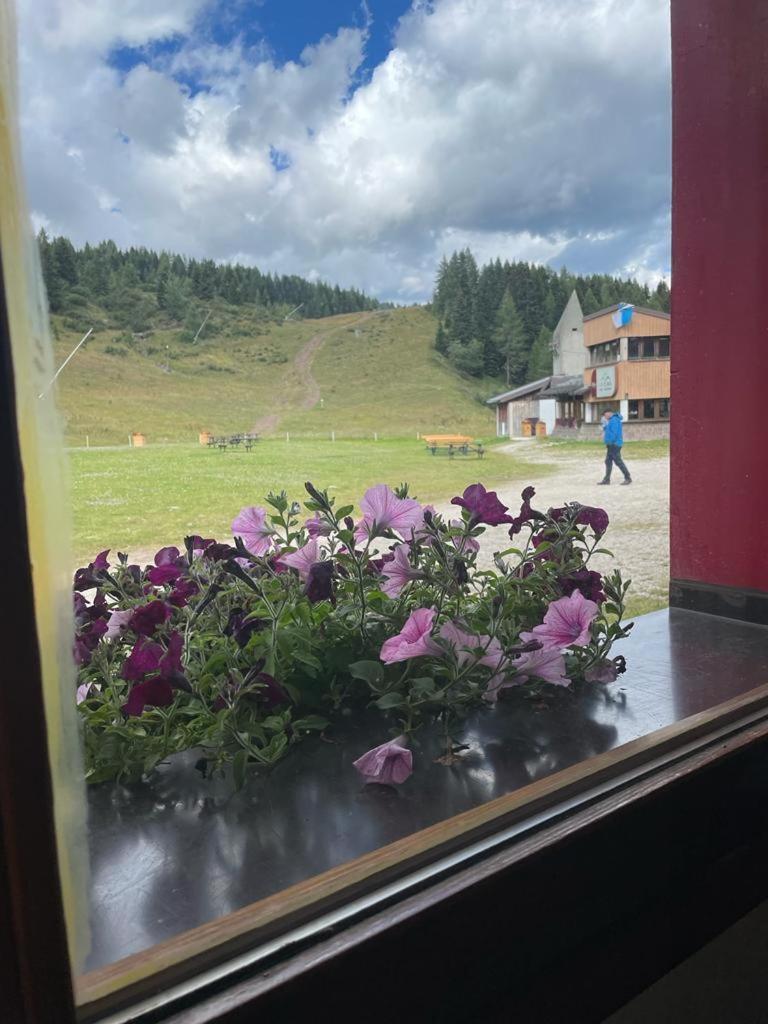 Chalet Scoiattolo Residence Sussy Falcade Dış mekan fotoğraf