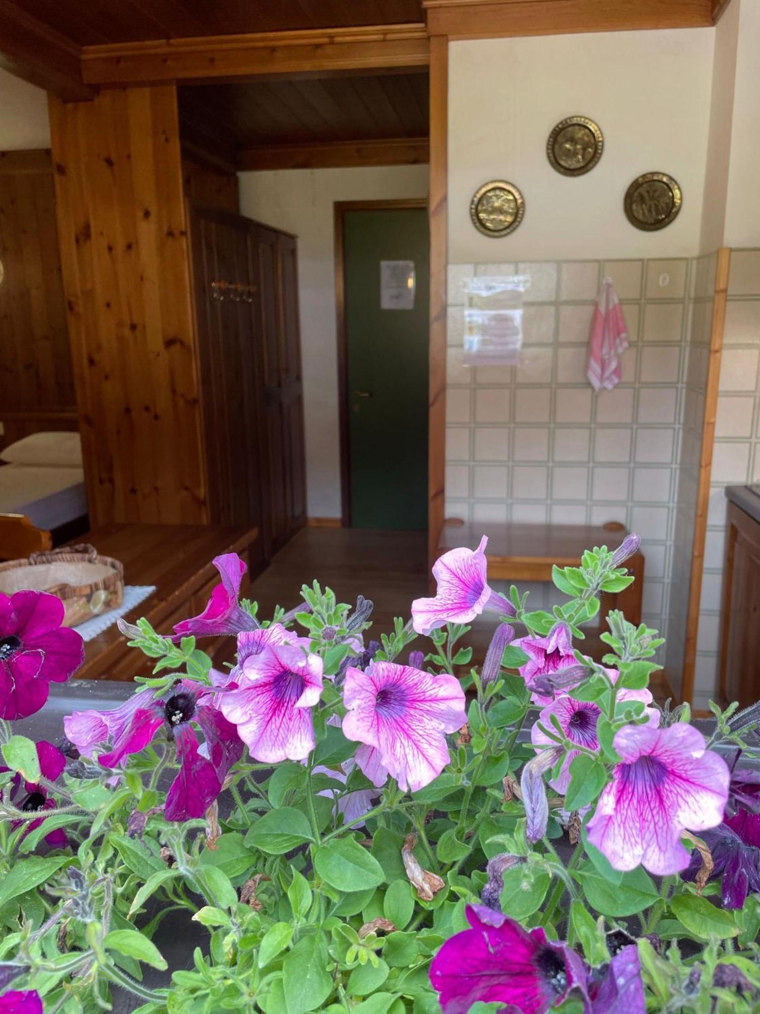 Chalet Scoiattolo Residence Sussy Falcade Dış mekan fotoğraf